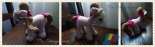 My Little Pony 2