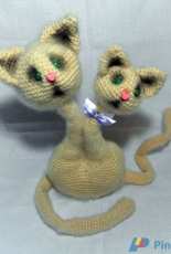 cats love