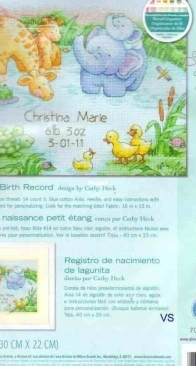 Dimensions - 70-73697 Little Pond Birth Record XSD+PAT