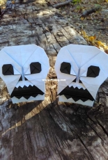 skull