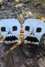 skull