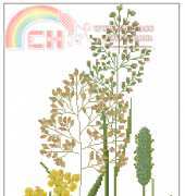 Meadow Flowers from Вышитые картины Embroidered Pictures 6 2009 XSD