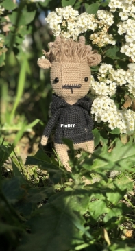 Amigurumi Deer in hoodie