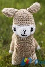 Ashley Andrews - W571 - Eco Duo Alpaca - Free