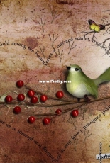 Digital scrapbooking