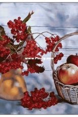 NaDiMa Stitch 025 - Viburnum and Apples XSD