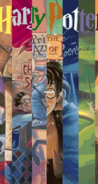 Fox and Teacup Designs - Harry Potter - HP Book Cover Collage (US)