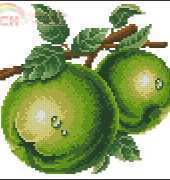 Dome - Fruit Green Apple