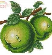 Dome - Fruit Green Apple