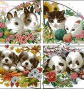 Dome 110817 Animals of Seasons