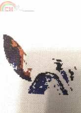 Zebry by Jo Lynch (HEAD)