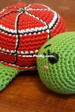 Sara the turtle