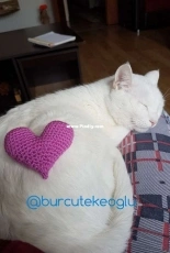Heart with Cat