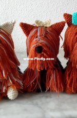 Yorkshire terrier