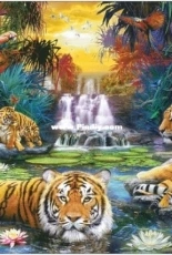 Chimera - Tiger family 2