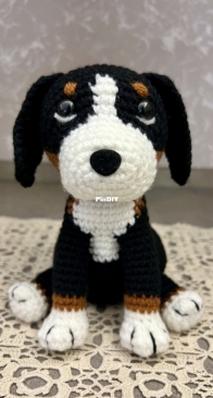 Bernese Mountain Dog