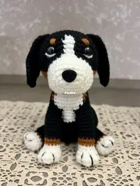 Bernese Mountain Dog