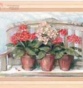 FIORI 155