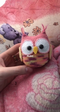 Owl