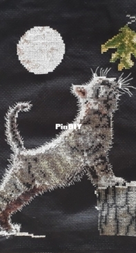 Cat - Max´s Moon - Kitten