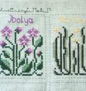 The Drawn thread - A year of flowers
