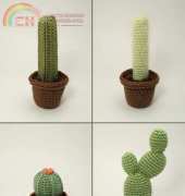 Planet June - June Gilbank - Cactus Collection 2