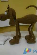 Dog ildikko