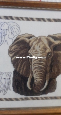 Elephant a symbol of health and strength