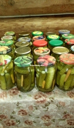 Pickles