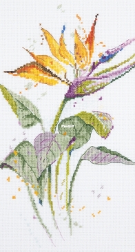 Panna C-1936 Strelitzia / Bird of Paradise XSD