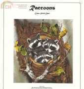 Gardner Gallery Raccoons