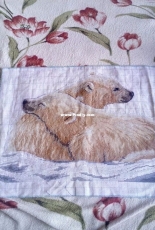 Белые медведи - Polar Bears
