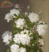 Golden Kite GK 2105 White Roses