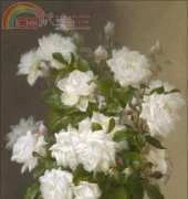 Golden Kite GK 2105 White Roses