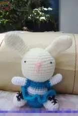 Cheersbunny
