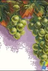 Charivna Mit 445 - Bunches of Grapes