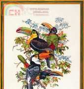 Eva Rosenstand 12-212 - Toucans