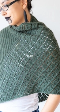 Kawakawa Shawl by Francoise Danoy