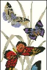 Eva Rosenstand 14-255