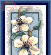 Megat 4541 - Apple Blossoms