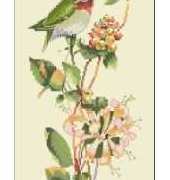 Heritage Stitchcraft -  Valerie Pfeiffer Duets VPTG562 Toccata in Green XSD