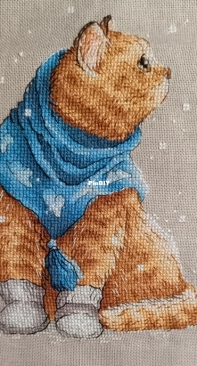 Кот от Светланы Сичкарь
