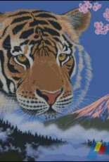 HAED HAESS 02215 Year of The Tiger by Schim Schimmel