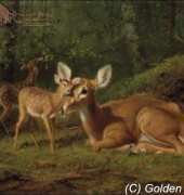 Golden Kite GK 2262 - Maternal Affection
