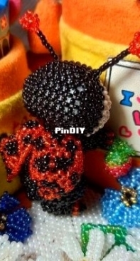 Ladybug