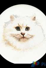 Thea Gouverneur 1045 - White Cat