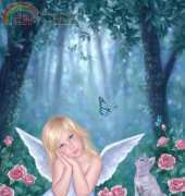 HAED HAERA 5195 Little Miracles by Rachel Anderson