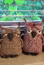 Red owl and all my owl