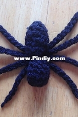 Lori Anne Carr - Spider - Free
