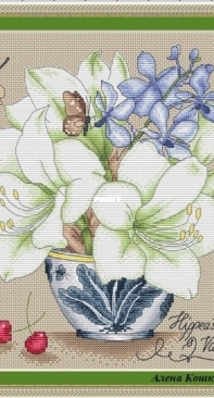 White Amaryllis by Alena Koshkina XSD